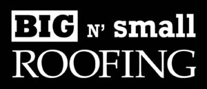 Big N Small Roofing